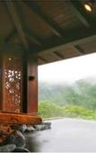 Туры в отель Hakone-Ginyu