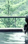 Туры в отель Hakone-Ginyu
