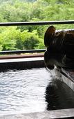 Туры в отель Hakone-Ginyu