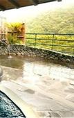 Туры в отель Hakone-Ginyu