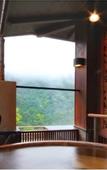 Туры в отель Hakone-Ginyu