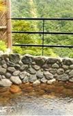 Туры в отель Hakone-Ginyu