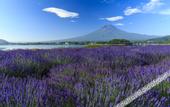 Туры в отель Super Hotel Fujikawaguchiko