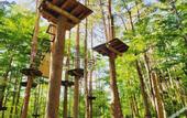 Туры в отель Super Hotel Fujikawaguchiko