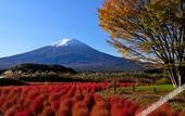 Туры в отель Super Hotel Fujikawaguchiko