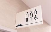 Туры в отель Super Hotel Fujikawaguchiko