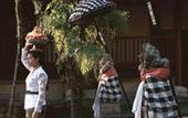 Туры в отель Amandari