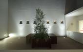 Туры в отель Hotel Resol Trinity Hakata