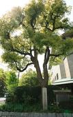 Туры в отель Kyoto Garden Palace