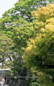Туры в отель Kyoto Garden Palace