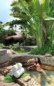 Туры в отель Narada Resort & Spa Qixian Mount