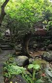 Туры в отель Narada Resort & Spa Qixian Mount
