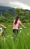 Туры в отель Narada Resort & Spa Qixian Mount