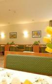 Туры в отель Hotel Schani Salon
