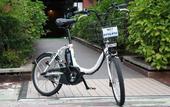 Туры в отель Royal Hotel Kawaguchiko