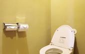 Туры в отель Royal Hotel Kawaguchiko