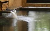 Туры в отель Royal Hotel Kawaguchiko