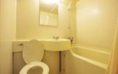 Туры в отель Royal Hotel Kawaguchiko