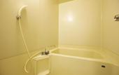 Туры в отель Royal Hotel Kawaguchiko