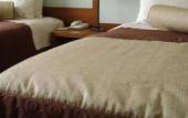 Туры в отель Hotel Libertador