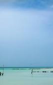 Туры в отель Spirit Holbox