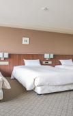 Туры в отель Hotel Abest Sapporo
