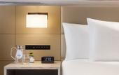 Туры в отель DoubleTree by Hilton Toyama