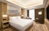 Туры в отель DoubleTree by Hilton Toyama