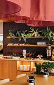 Туры в отель Hotel Schani City