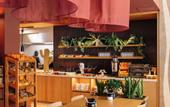 Туры в отель Hotel Schani City