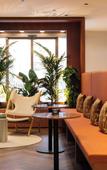 Туры в отель Hotel Schani City