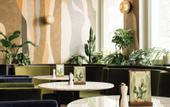 Туры в отель Hotel Schani City