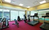Туры в отель Hyatt Place Chicago-South/University Medical Center