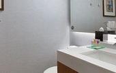 Туры в отель Hyatt Place Chicago-South/University Medical Center