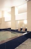 Туры в отель Hotel Hokke Club Hiroshima