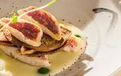 Туры в отель Arli Hotel Business and Wellness