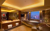 Туры в отель DoubleTree by Hilton Qinghai Golmud