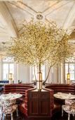 Туры в отель The Municipal Hotel Liverpool - MGallery