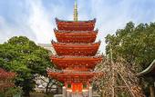 Туры в отель The Royal Park Canvas Fukuoka Nakasu