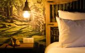 Туры в отель La Maison Hotel Mulhouse
