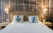 Туры в отель La Maison Hotel Mulhouse