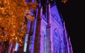Туры в отель La Maison Hotel Mulhouse