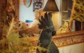 Туры в отель La Maison Hotel Mulhouse