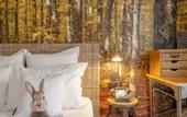 Туры в отель La Maison Hotel Mulhouse