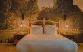 Туры в отель La Maison Hotel Mulhouse
