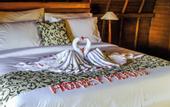 Туры в отель BB Resort Villa and Spa