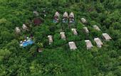 Туры в отель BB Resort Villa and Spa