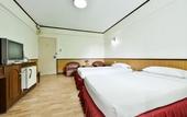 Туры в отель Nice Palace Hotel