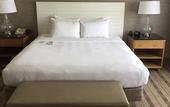 Туры в отель DoubleTree by Hilton San Pedro - Port of Los Angeles