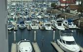 Туры в отель DoubleTree by Hilton San Pedro - Port of Los Angeles